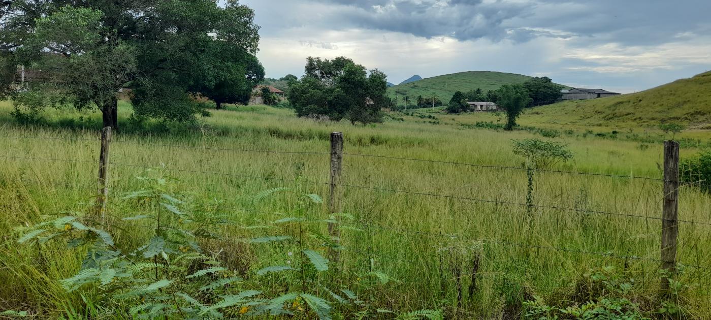 Terreno à venda, 12200m² - Foto 7