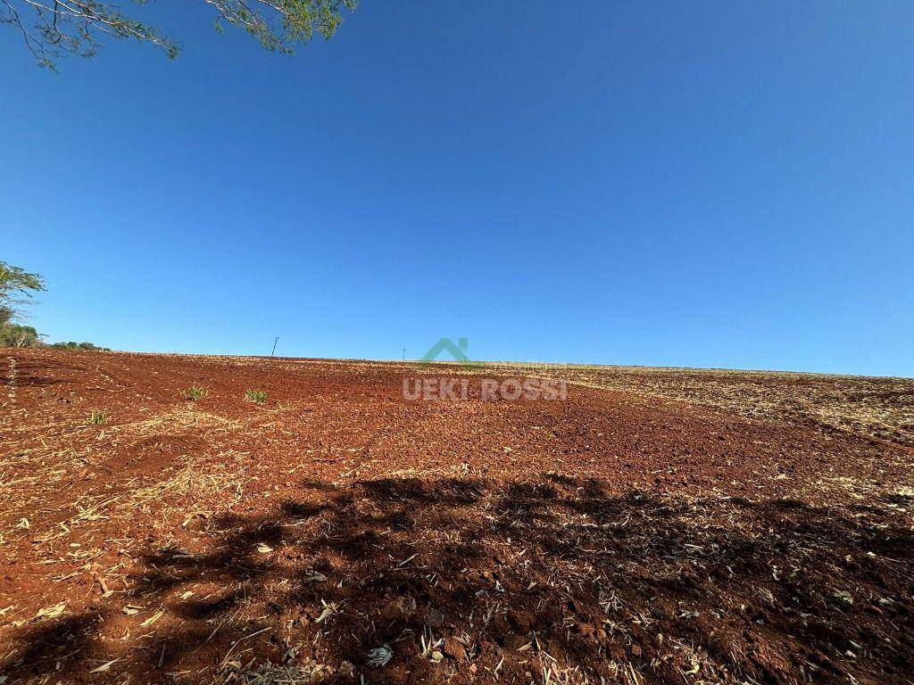 Fazenda, 232 hectares - Foto 15