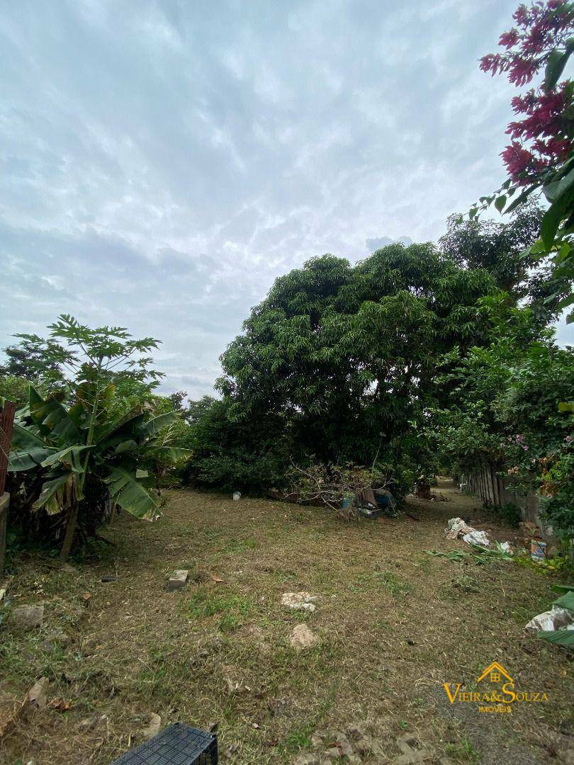 Chácara à venda com 3 quartos, 2010M2 - Foto 11
