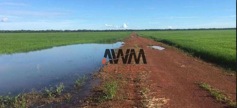 Fazenda à venda, 72600000M2 - Foto 2