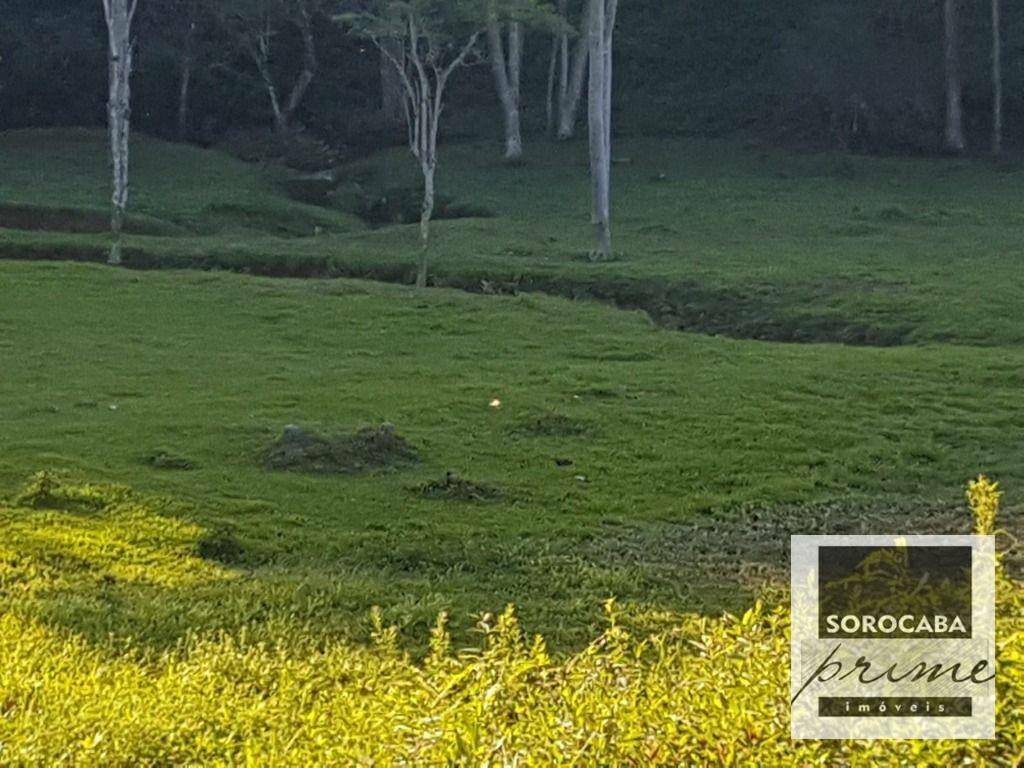 Fazenda à venda, 202000M2 - Foto 35