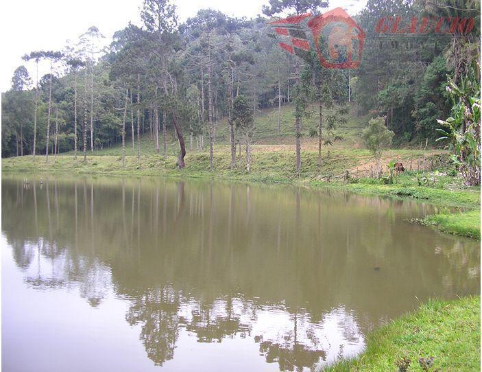 Sítio à venda com 4 quartos, 75661m² - Foto 15