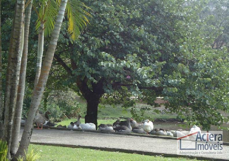 Casa de Condomínio à venda com 4 quartos, 800m² - Foto 24
