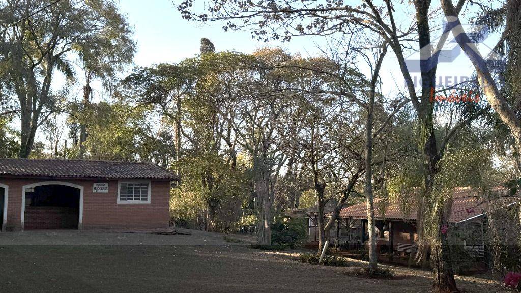 Sítio, 4 hectares - Foto 9