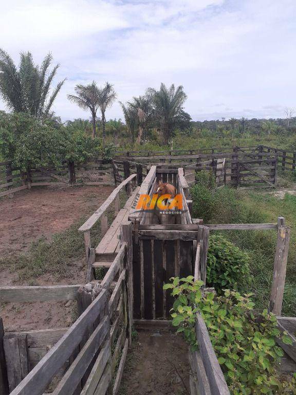 Fazenda à venda, 6500000M2 - Foto 6