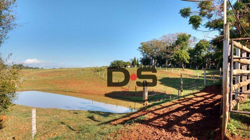 Chácara à venda com 2 quartos, 30000M2 - Foto 10