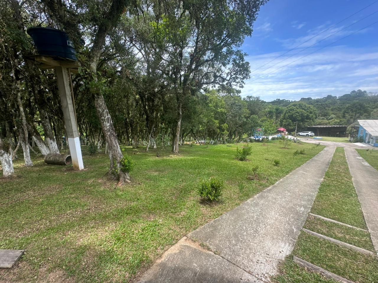 Fazenda à venda com 3 quartos, 8000m² - Foto 31