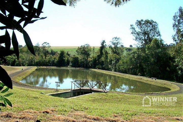 Loteamento e Condomínio à venda, 2500M2 - Foto 3