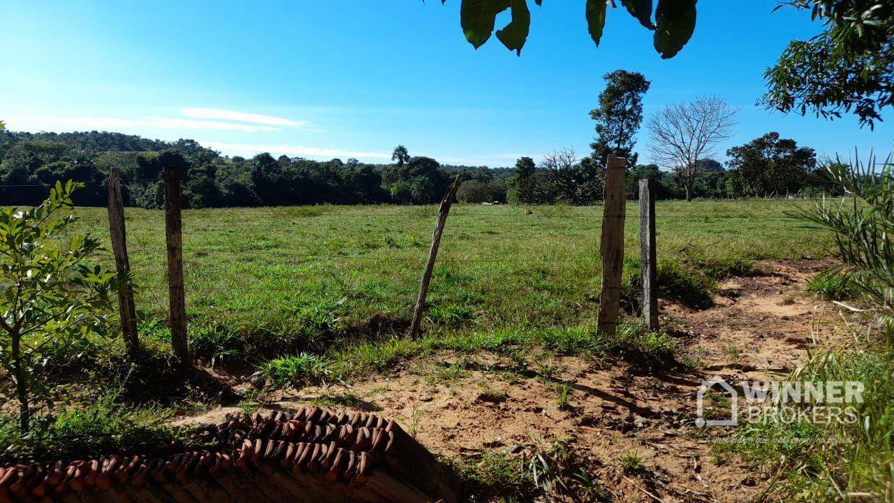 Fazenda à venda com 2 quartos, 4500000M2 - Foto 38