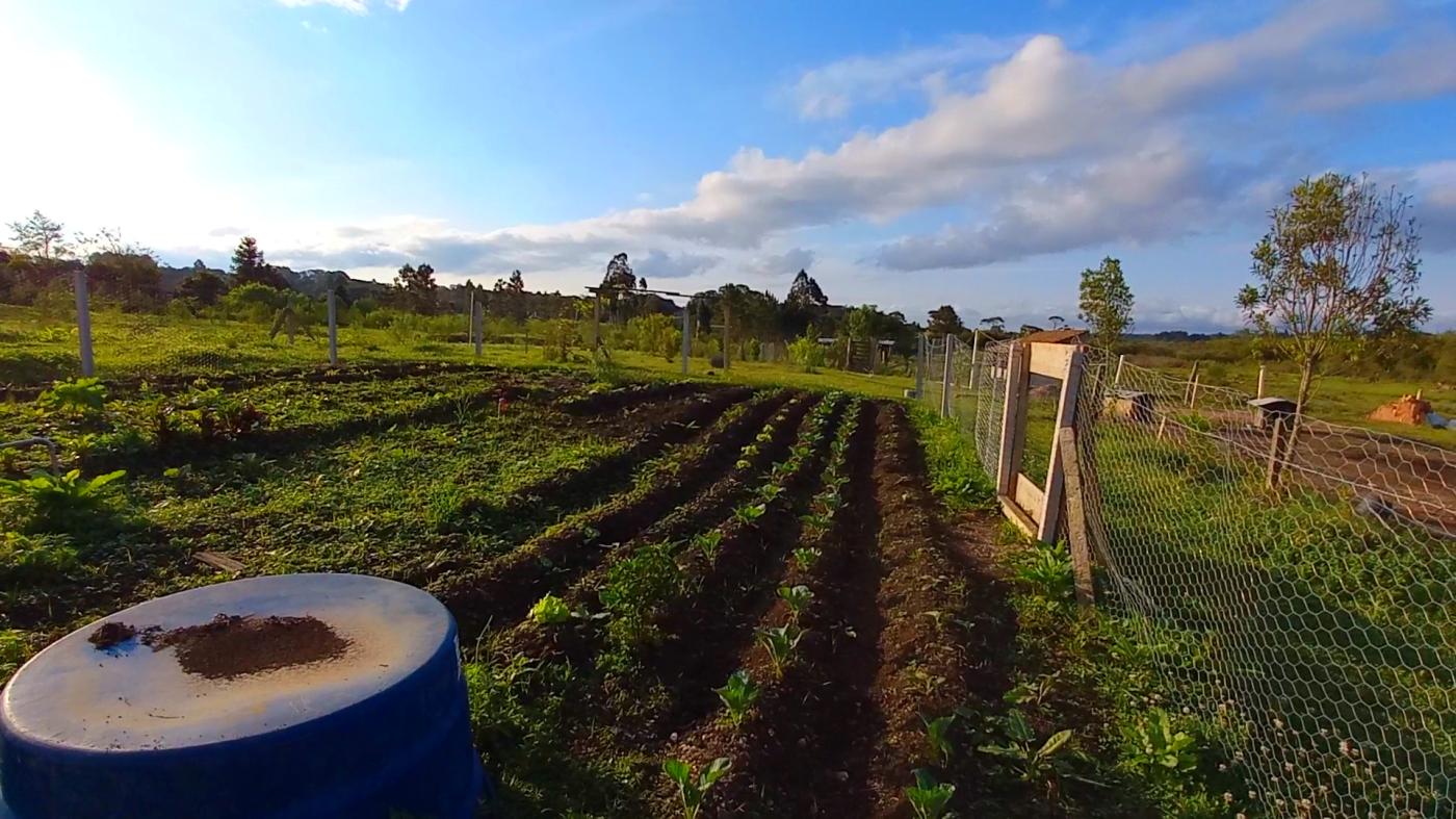 Fazenda à venda, 32800m² - Foto 8