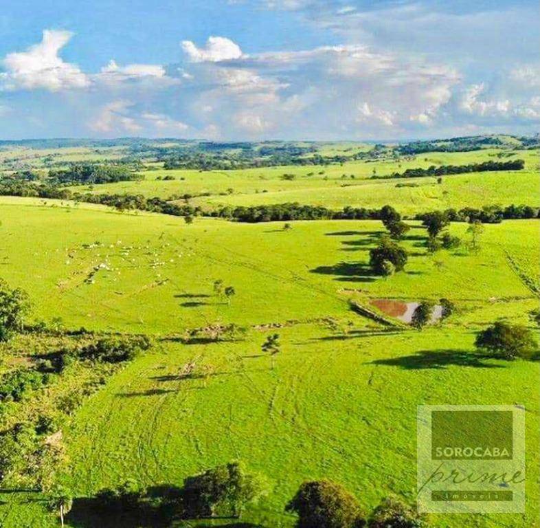 Fazenda à venda, 6050000M2 - Foto 26