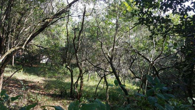 Loteamento e Condomínio à venda, 2845M2 - Foto 2