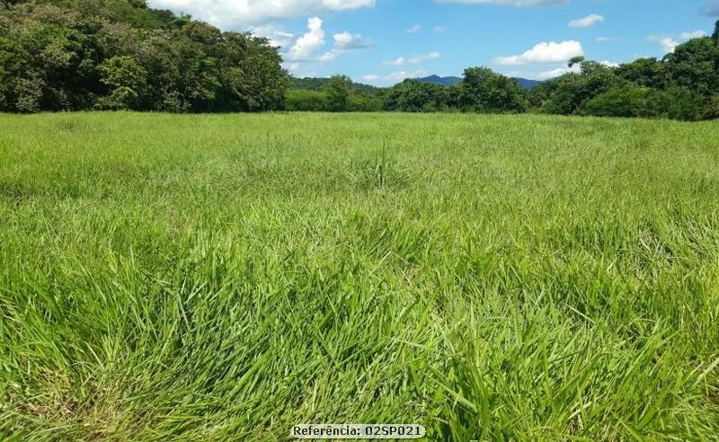 Fazenda à venda com 3 quartos, 200000m² - Foto 1