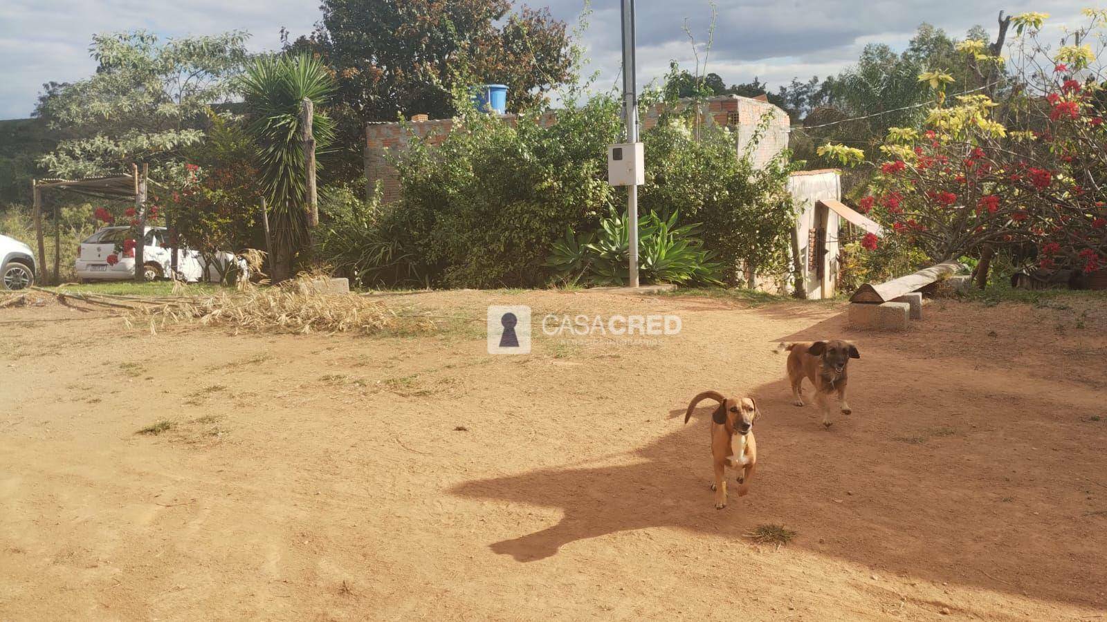 Chácara à venda com 3 quartos, 70m² - Foto 1