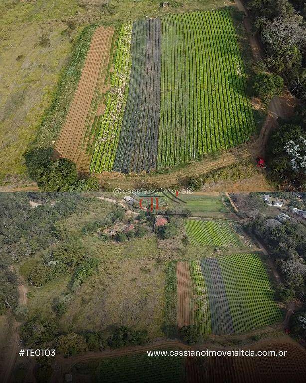 Terreno à venda, 20000M2 - Foto 5