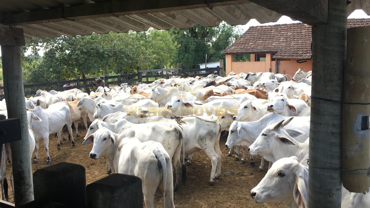 Fazenda à venda, 52m² - Foto 39