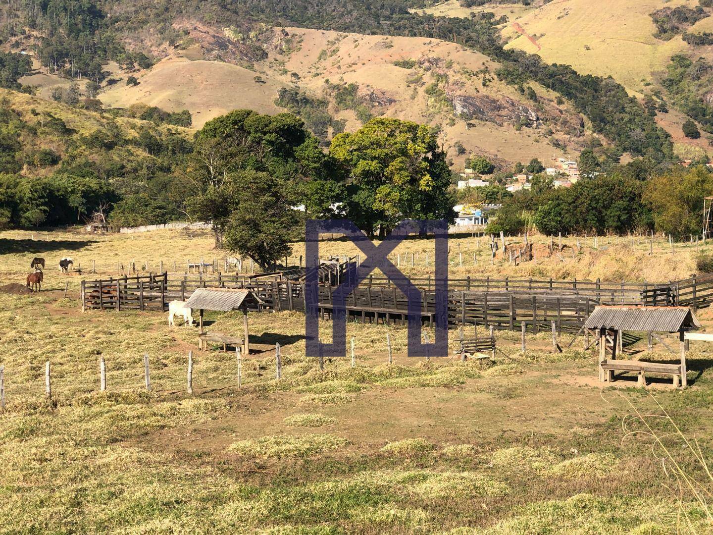 Terreno à venda, 18000M2 - Foto 8