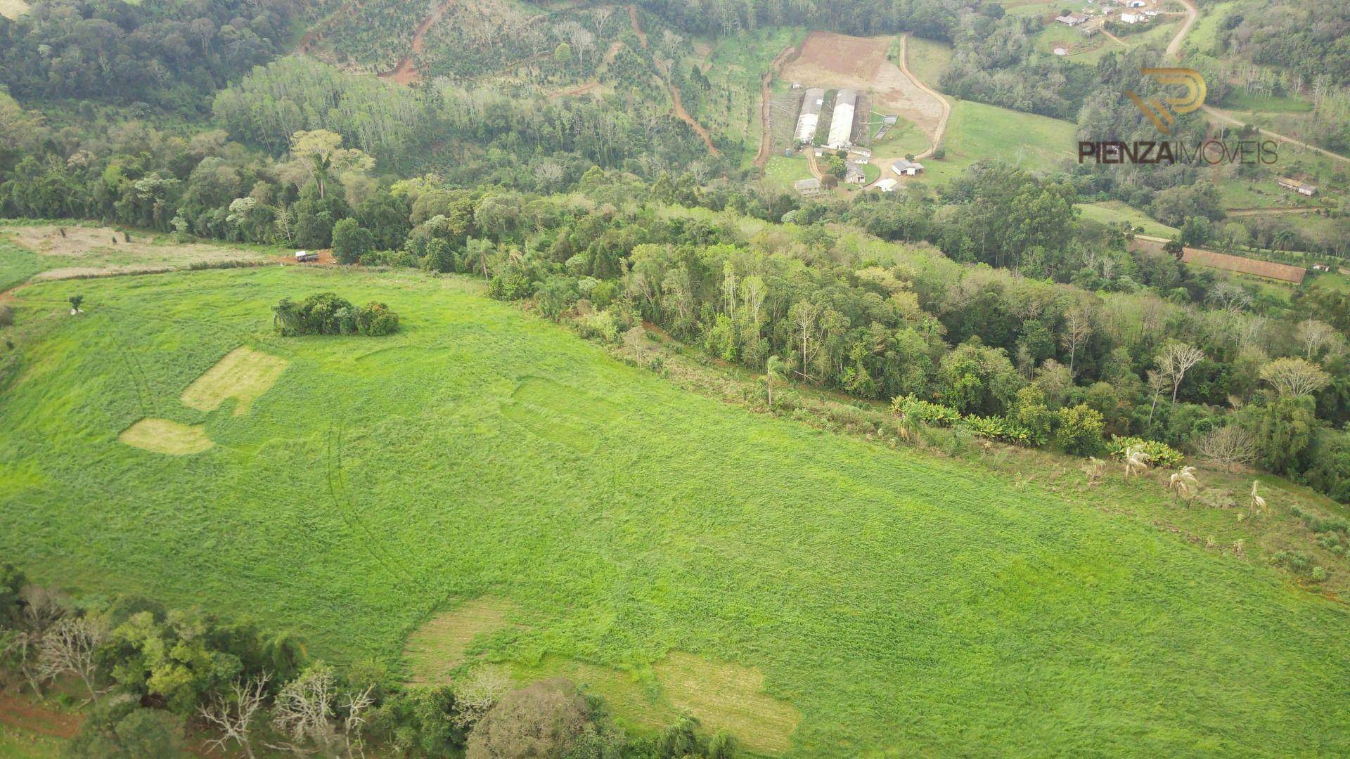 Terreno, 22 hectares - Foto 4