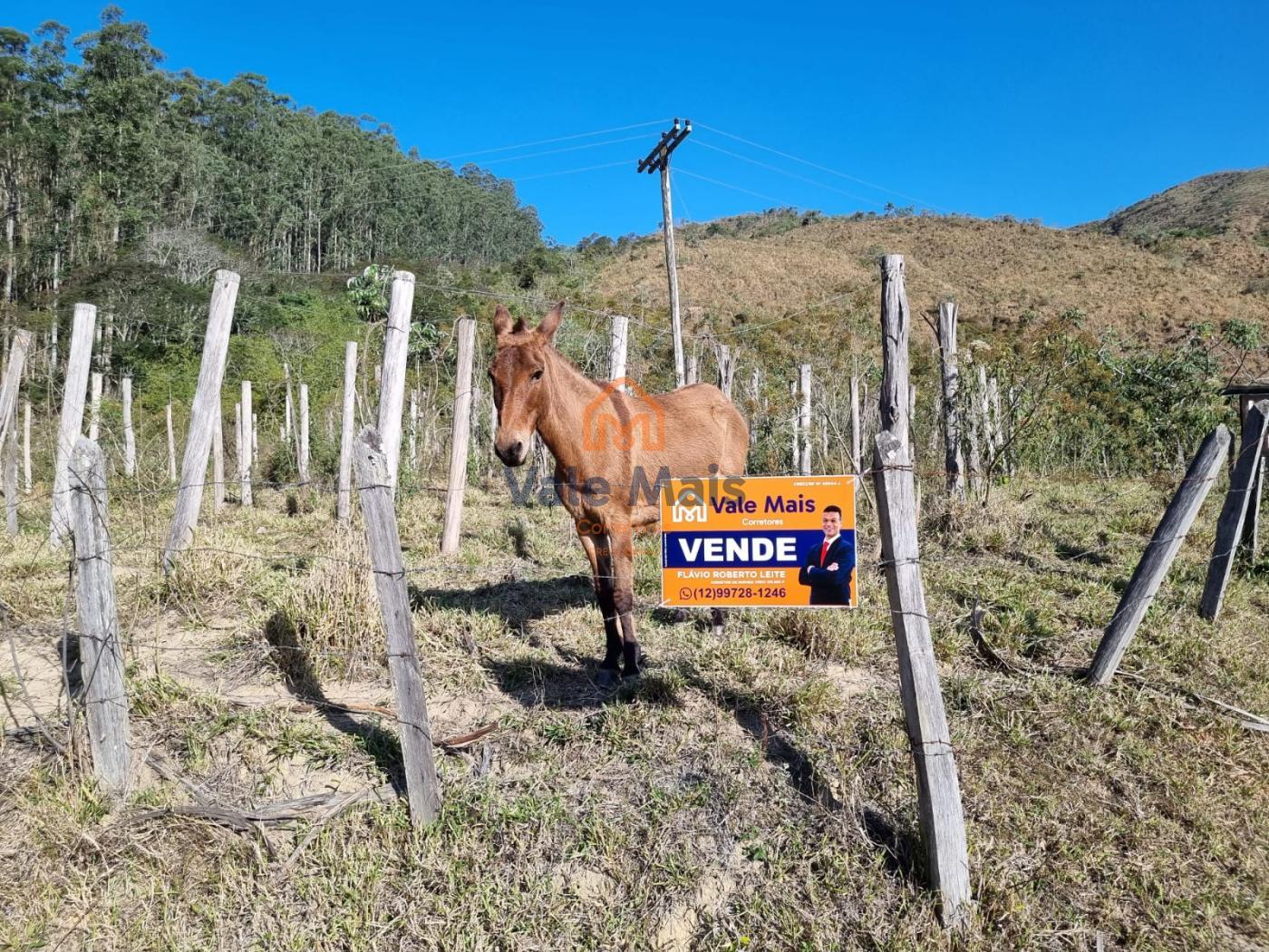 Fazenda à venda com 2 quartos, 1214658m² - Foto 1