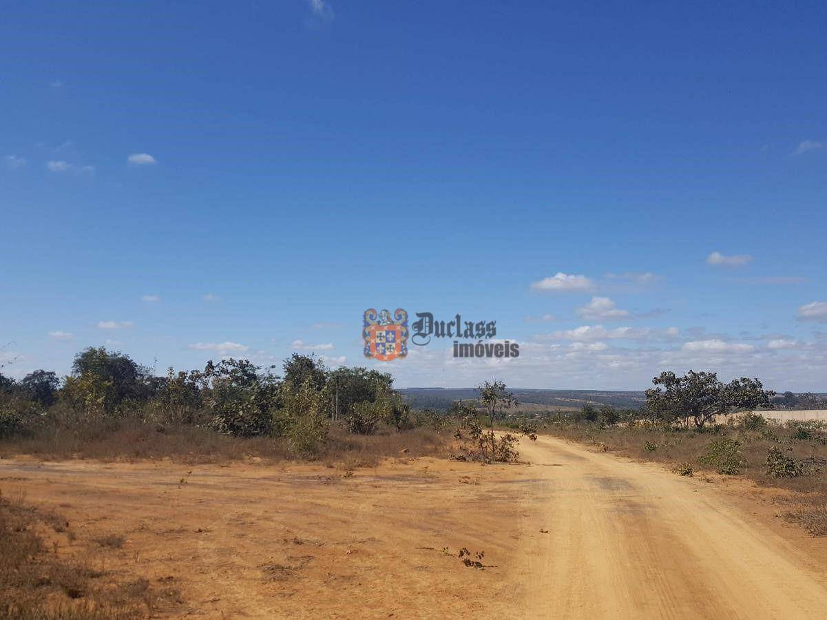 Terreno, 11 hectares - Foto 12