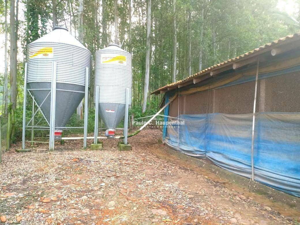 Sítio à venda com 4 quartos, 15000M2 - Foto 11