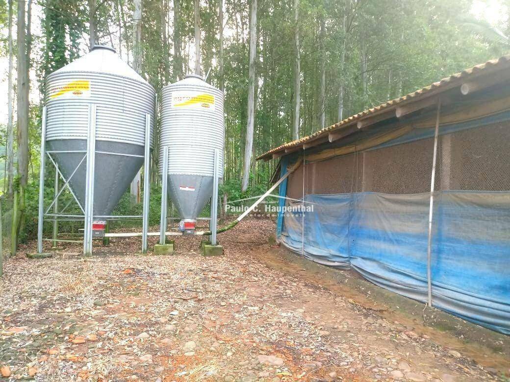 Chácara à venda com 4 quartos, 15000M2 - Foto 11