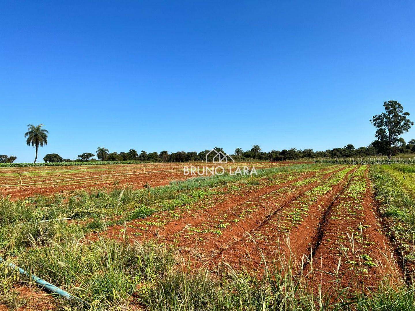 Fazenda à venda com 6 quartos, 1200m² - Foto 18