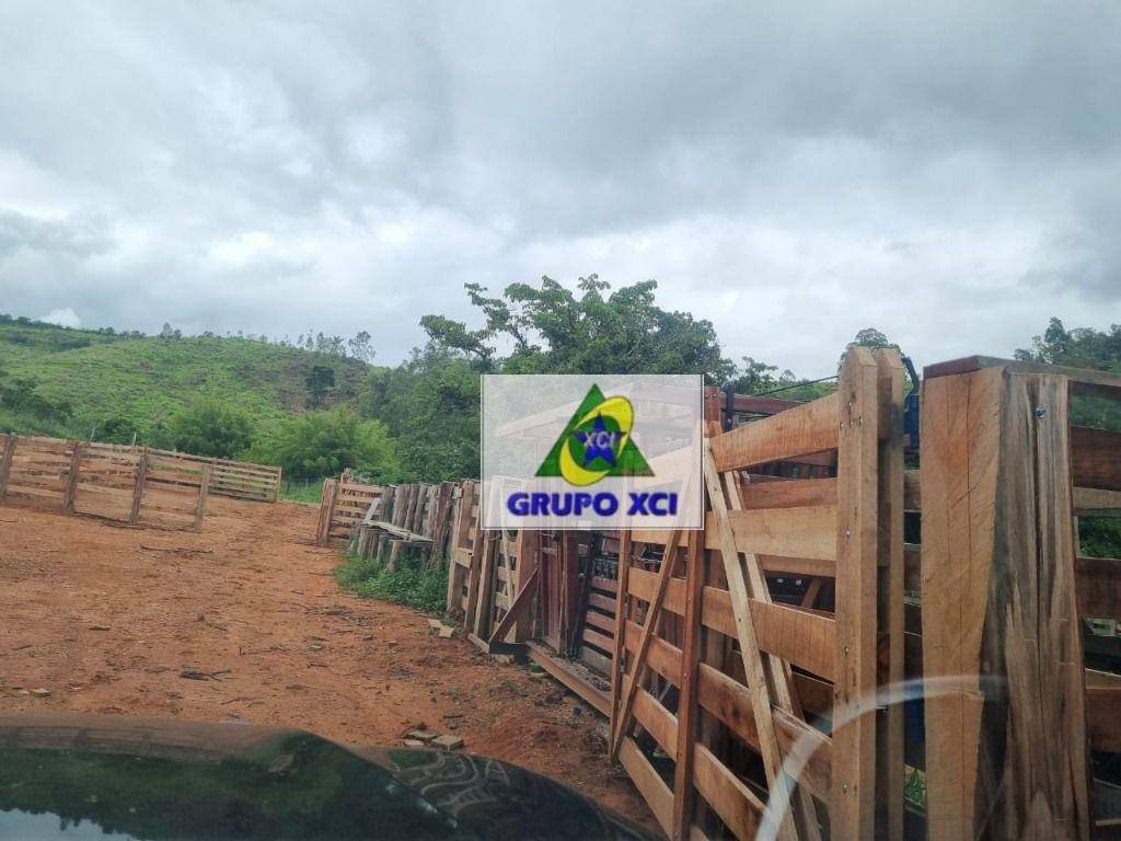 Fazenda-Sítio-Chácara, 250 hectares - Foto 46