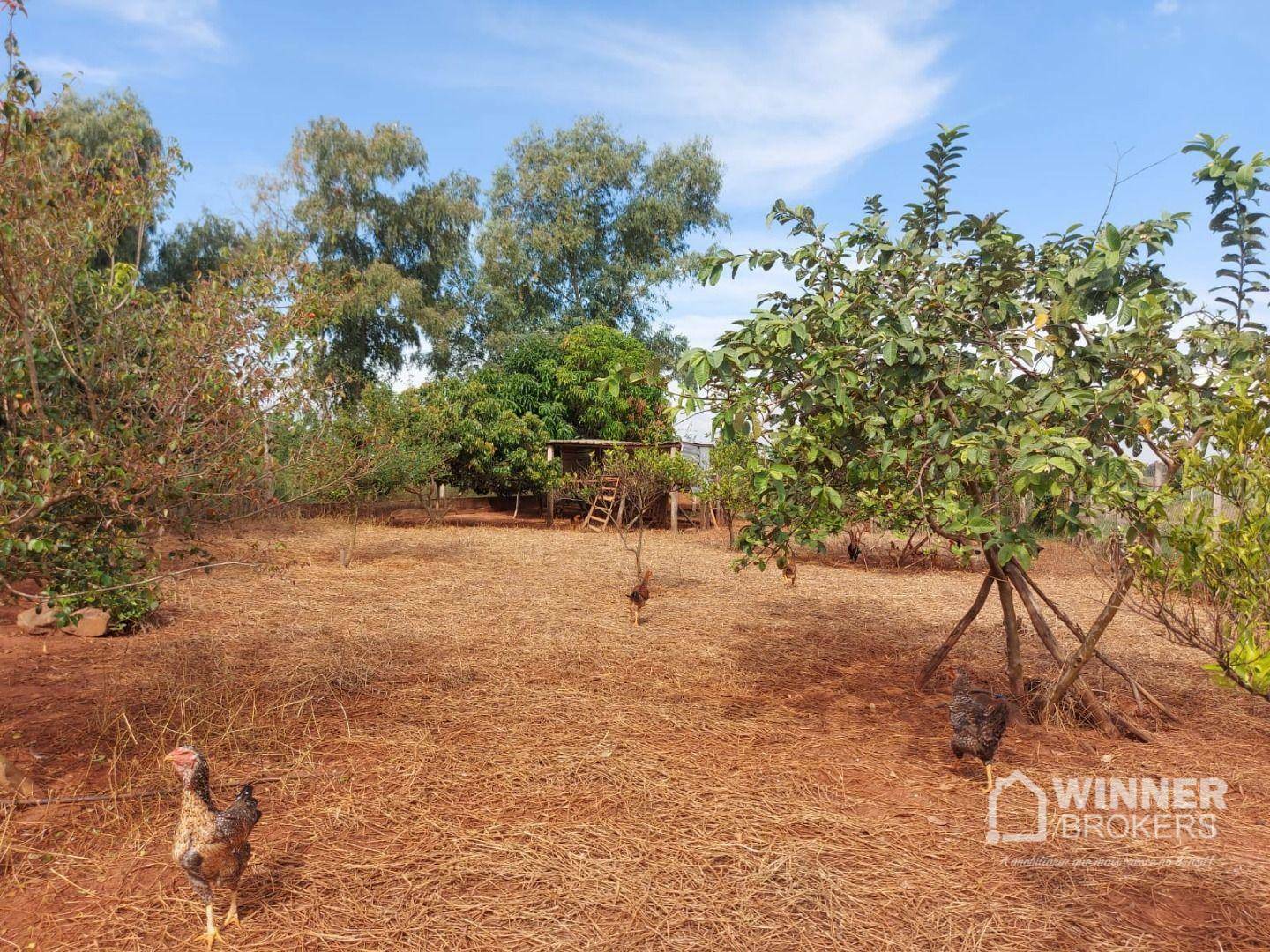 Chácara à venda com 3 quartos, 1500M2 - Foto 41
