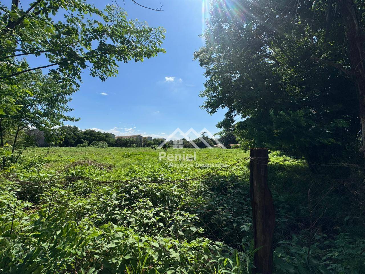 Terreno, 2 hectares - Foto 3