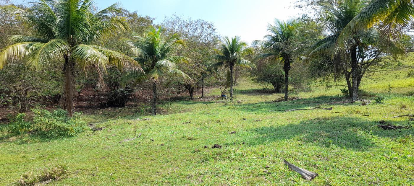 Fazenda à venda com 2 quartos, 20000m² - Foto 1