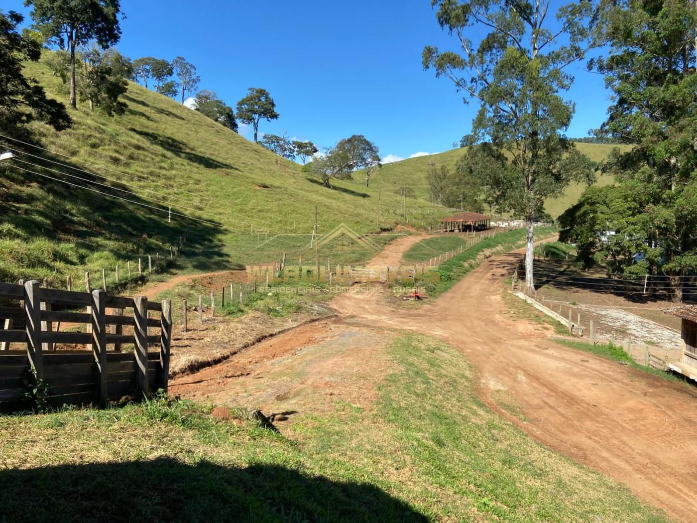 Fazenda à venda, 100m² - Foto 41