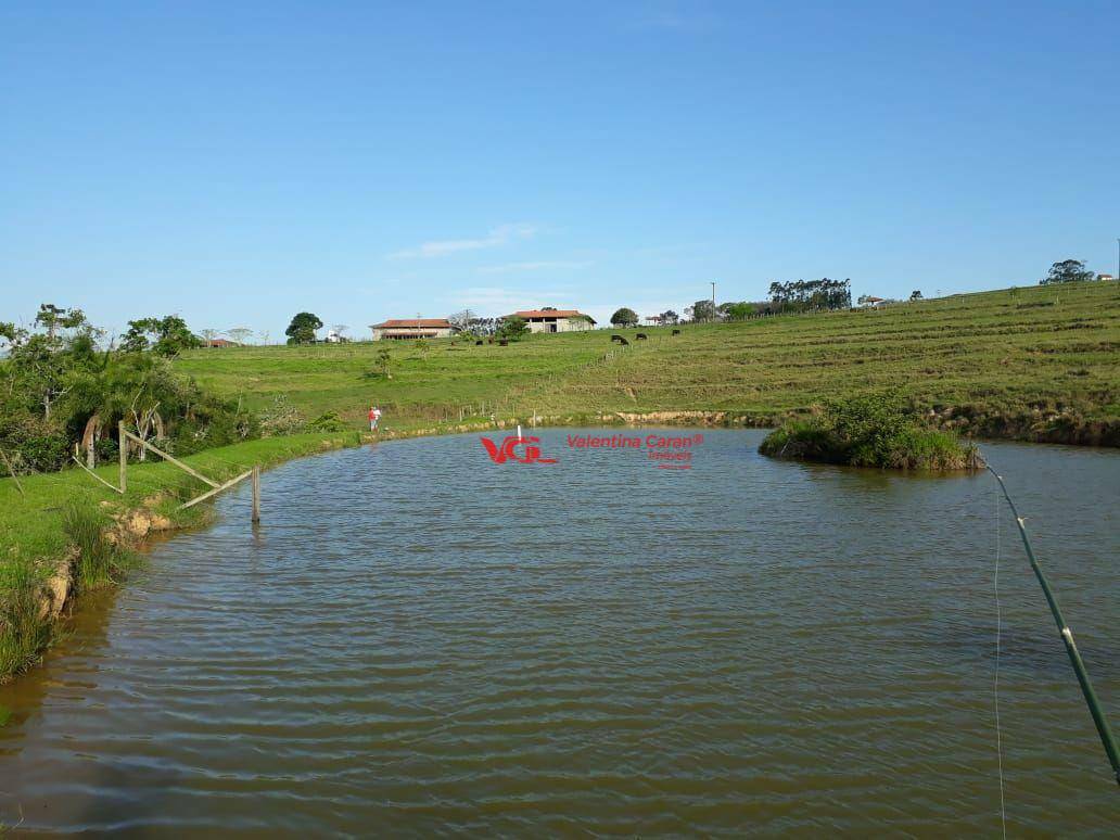 Fazenda à venda com 3 quartos, 6250m² - Foto 51