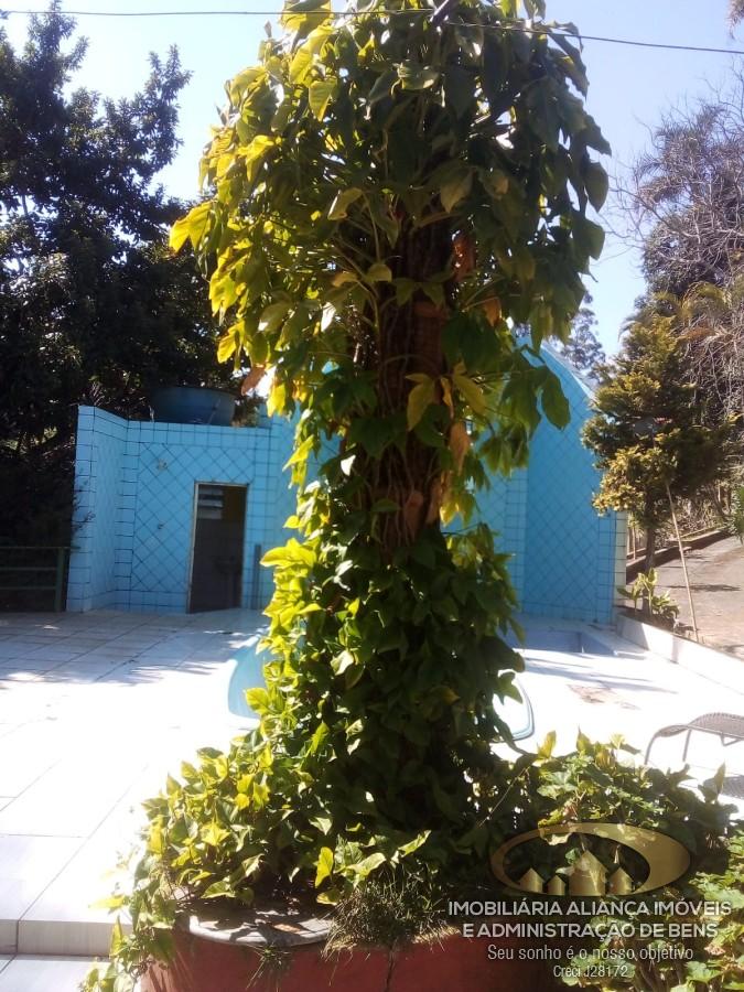 Chácara à venda, 8000m² - Foto 4