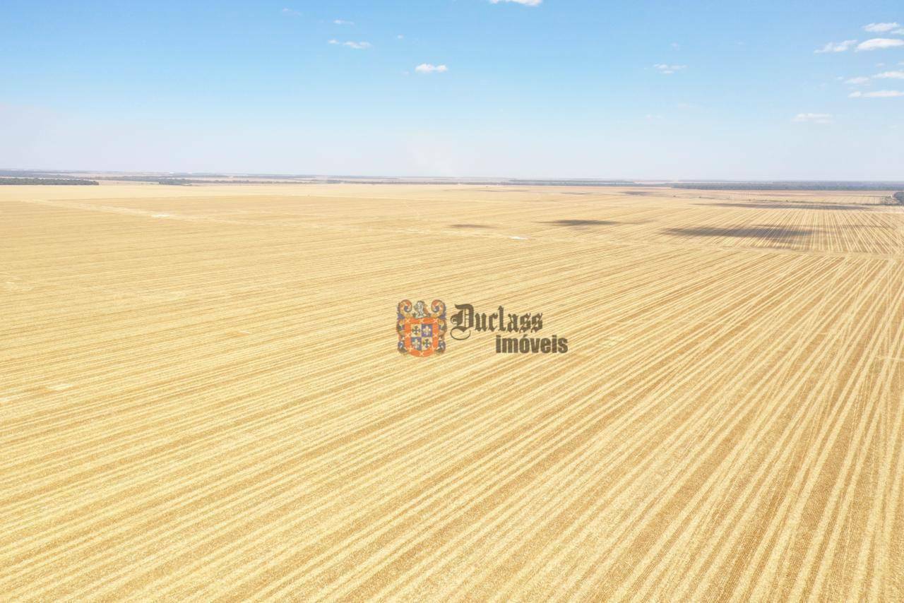 Fazenda, 7236 hectares - Foto 12