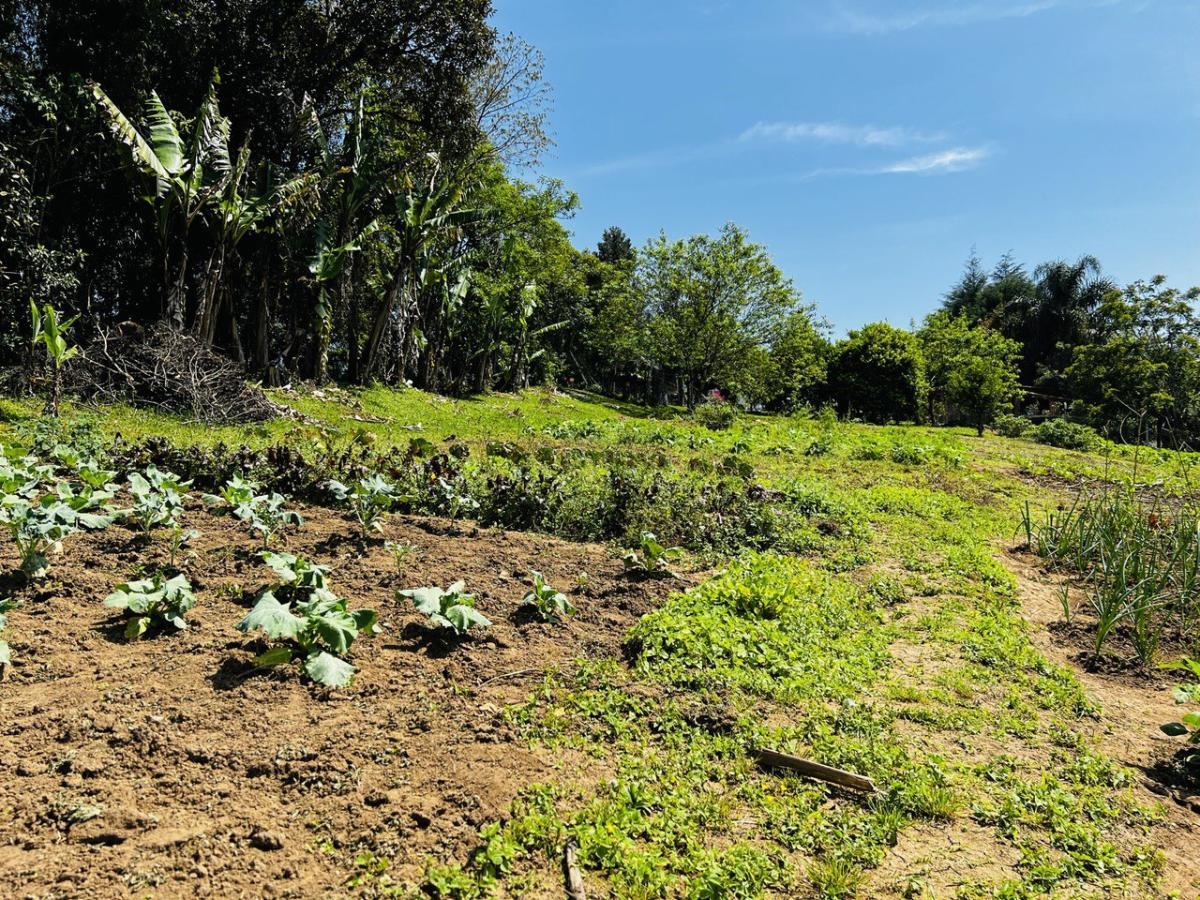 Fazenda à venda, 6300m² - Foto 24