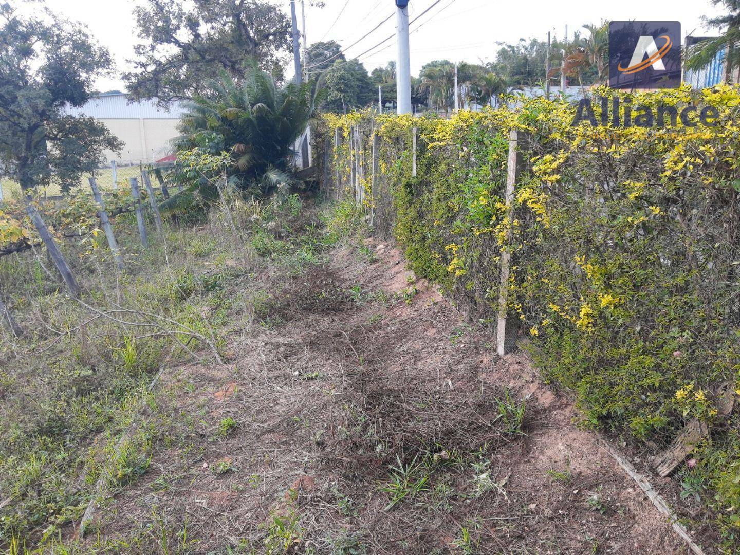 Terreno à venda, 1632M2 - Foto 8