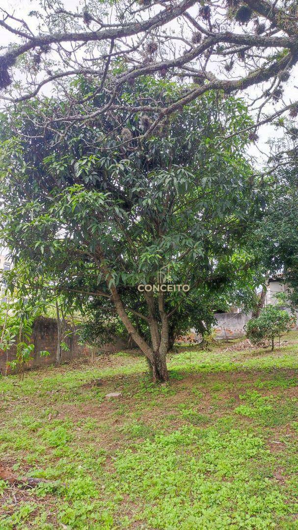 Terreno, 725 m² - Foto 3