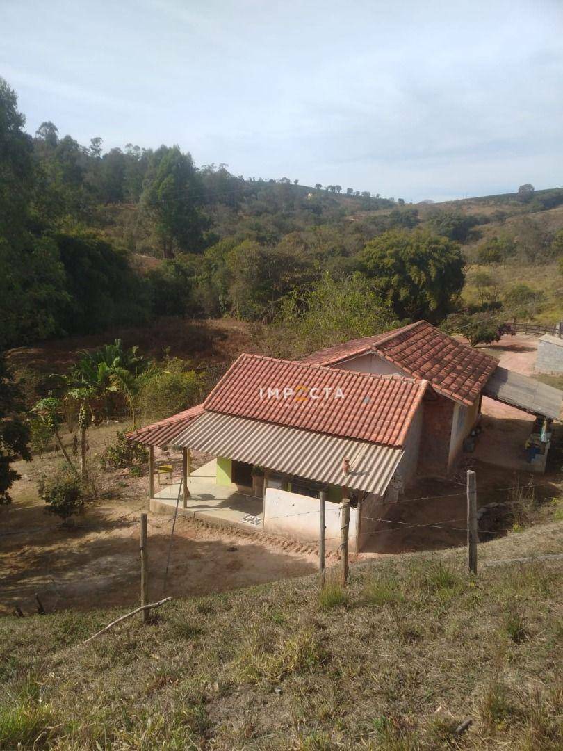 Chácara à venda com 2 quartos, 12100M2 - Foto 39