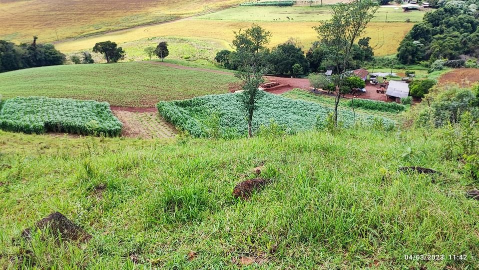 Fazenda à venda, 48400m² - Foto 8