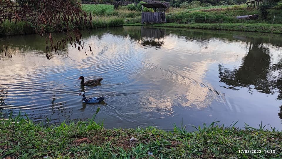 Fazenda à venda com 2 quartos, 8m² - Foto 1