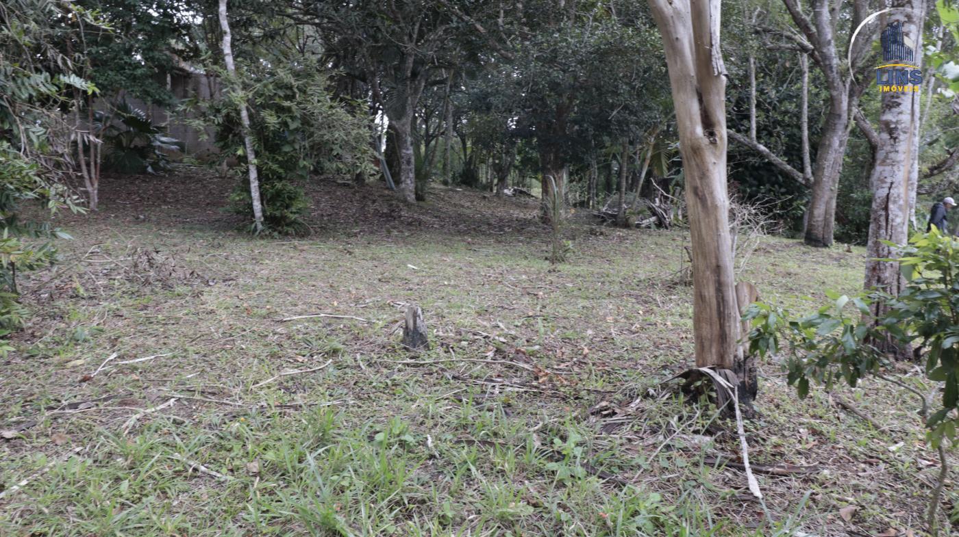 Chácara à venda com 2 quartos, 50m² - Foto 13