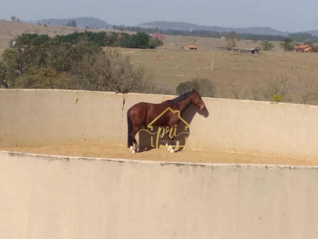 Haras e Área Rural Padrão à venda com 4 quartos, 1000m² - Foto 3