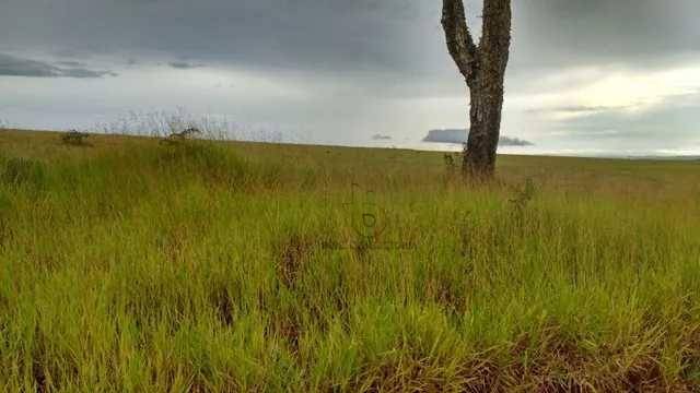 Chácara à venda com 2 quartos, 100m² - Foto 3