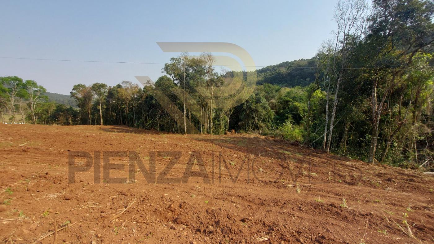 Terreno à venda, 20000m² - Foto 3