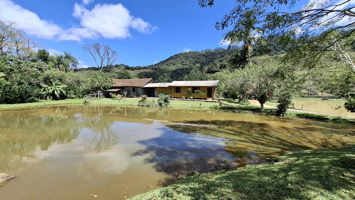 Fazenda à venda com 4 quartos, 950000m² - Foto 23