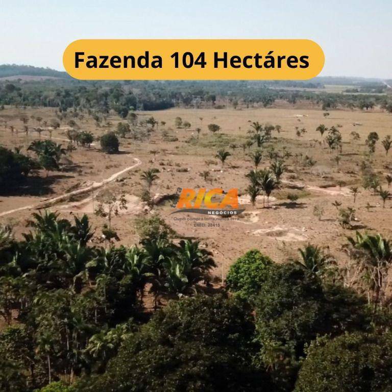 Fazenda-Sítio-Chácara, 104 hectares - Foto 1