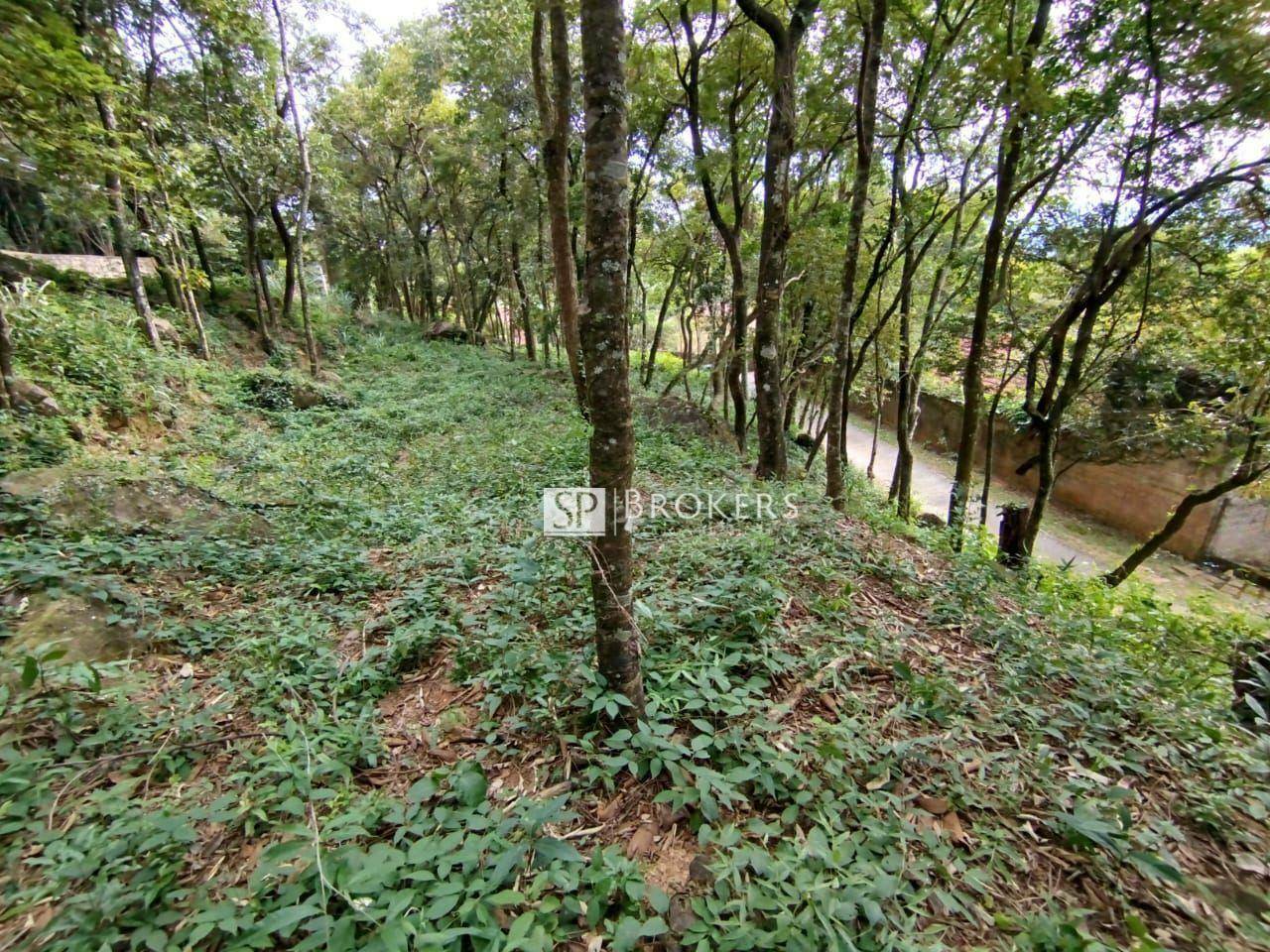 Loteamento e Condomínio à venda, 1925M2 - Foto 6