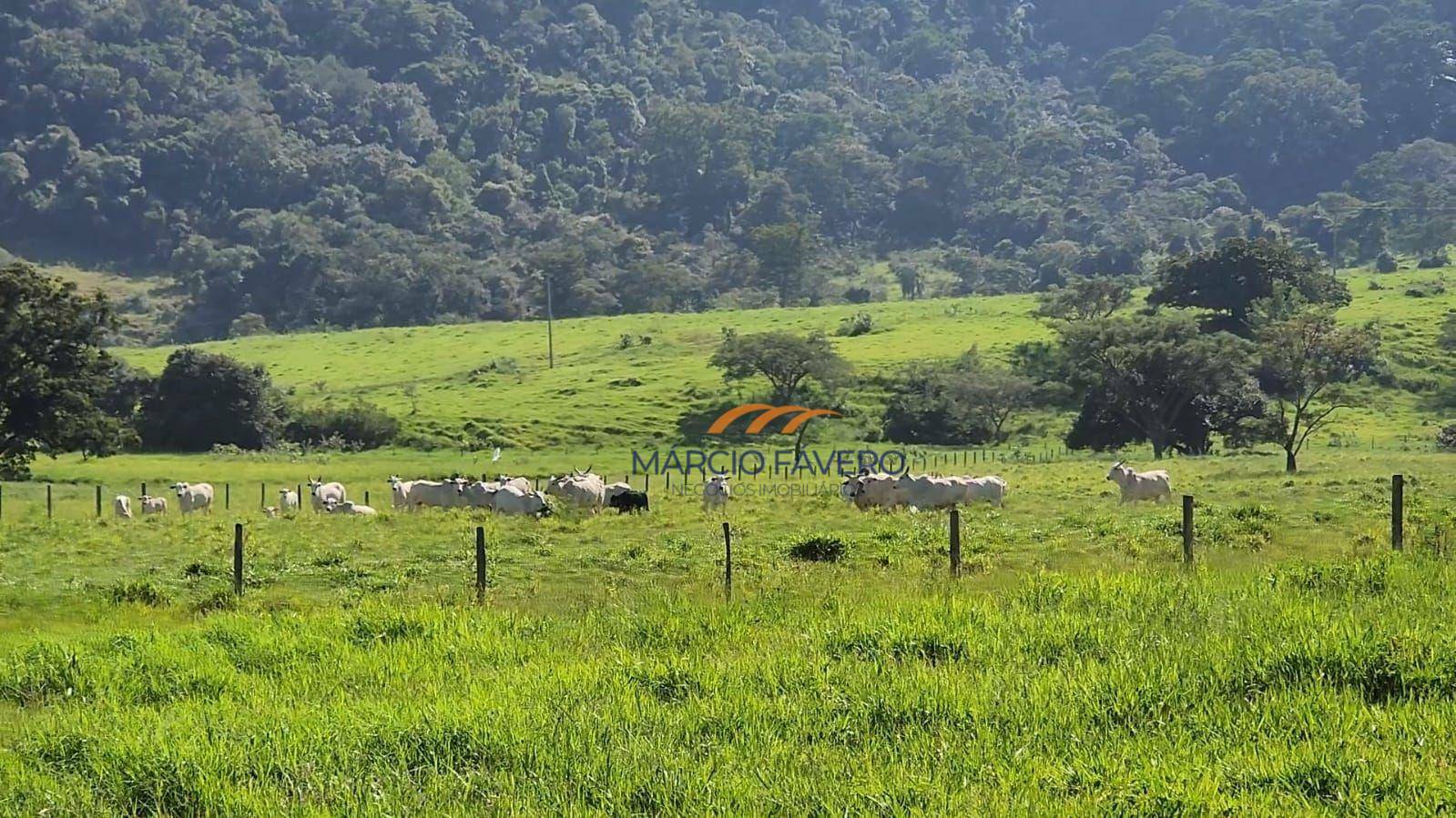 Fazenda à venda, 2105400M2 - Foto 4