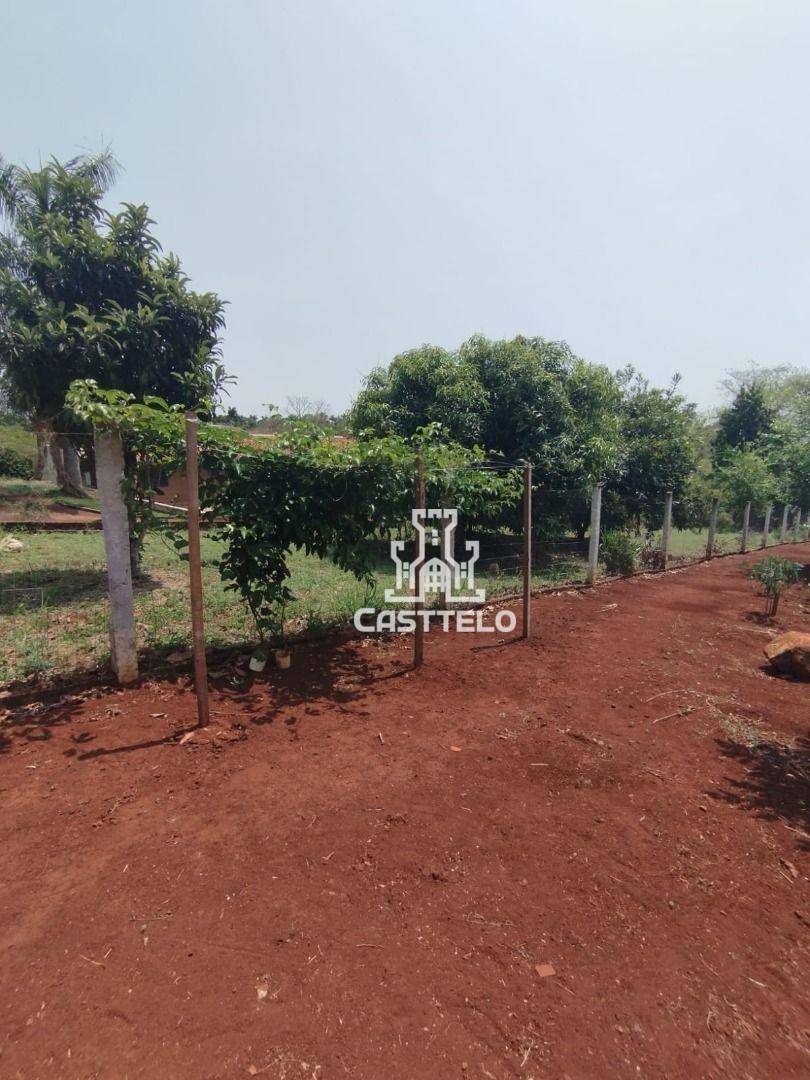 Chácara à venda com 2 quartos, 1070M2 - Foto 22